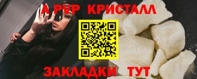 прущие грибы Обнинск
